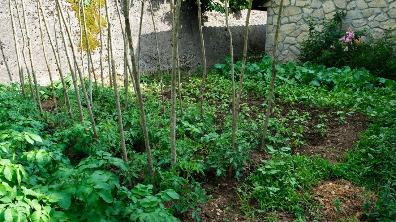 Prevalis Nature Cottage Virpazar Zewnętrze zdjęcie