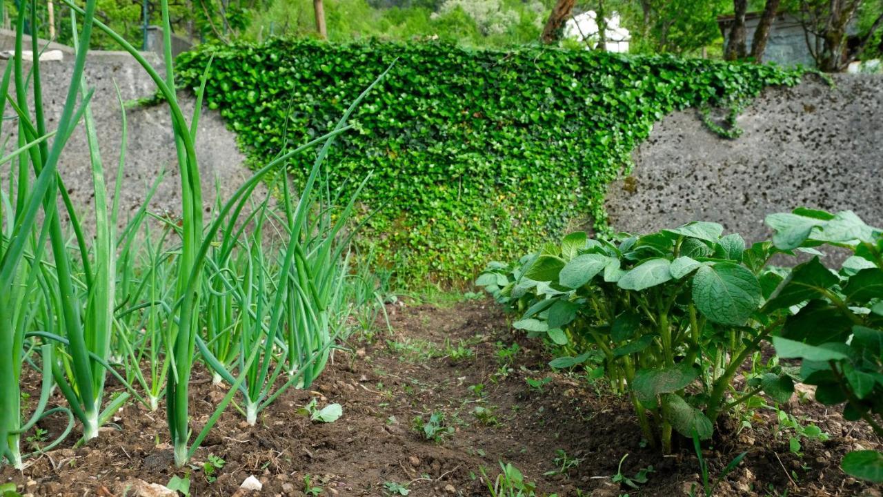 Prevalis Nature Cottage Virpazar Zewnętrze zdjęcie