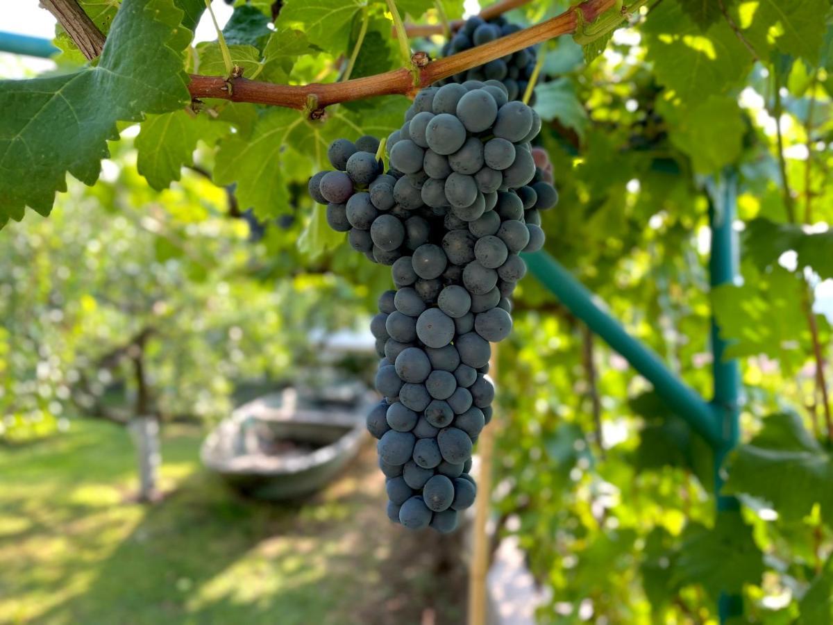 Prevalis Nature Cottage Virpazar Zewnętrze zdjęcie