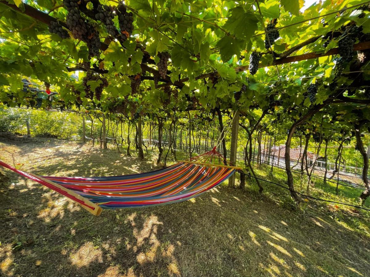 Prevalis Nature Cottage Virpazar Zewnętrze zdjęcie
